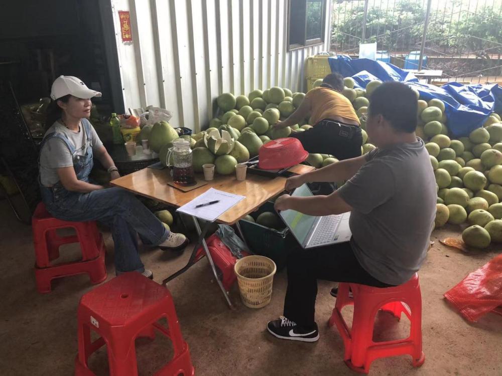 用电商创业项目,普通人如何用电商创业