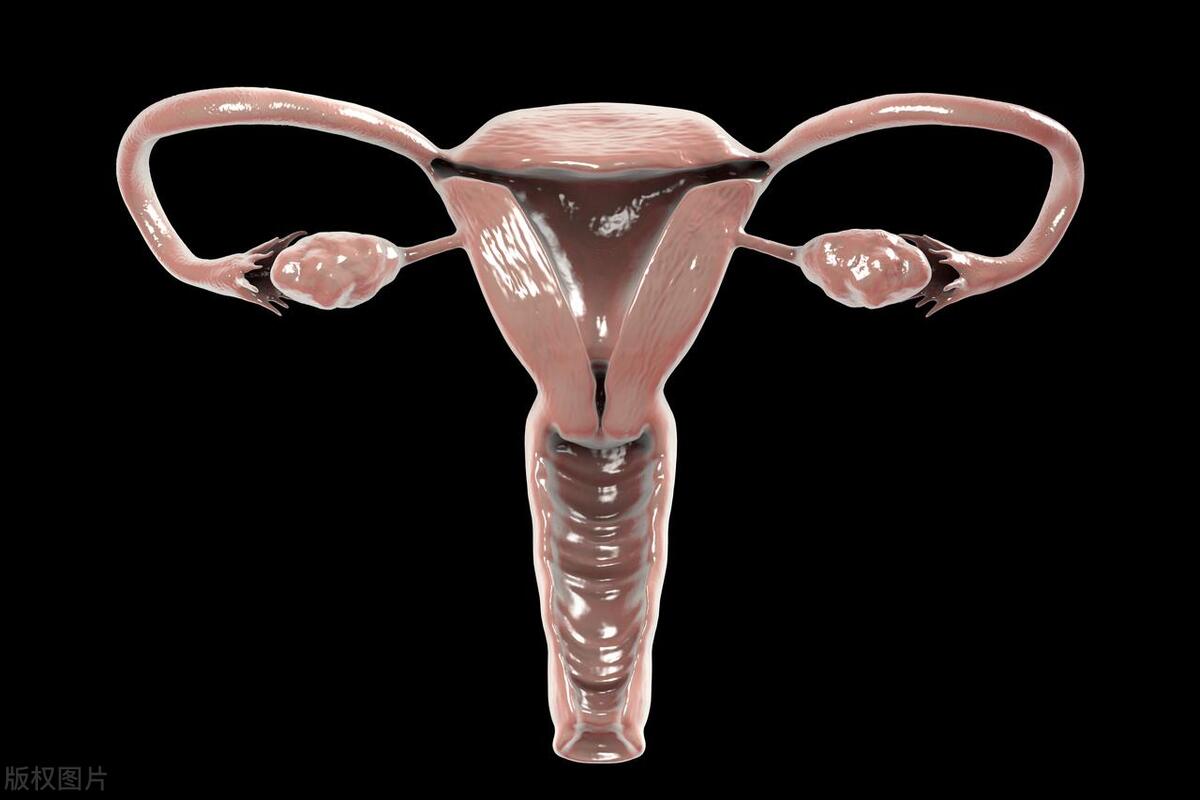 流产后多久能同房？需要禁欲吗？提醒：需要这4点注意事项