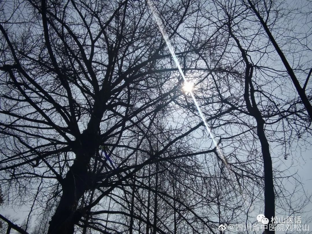 松山医话刘松山教授,松山医话系列之血液