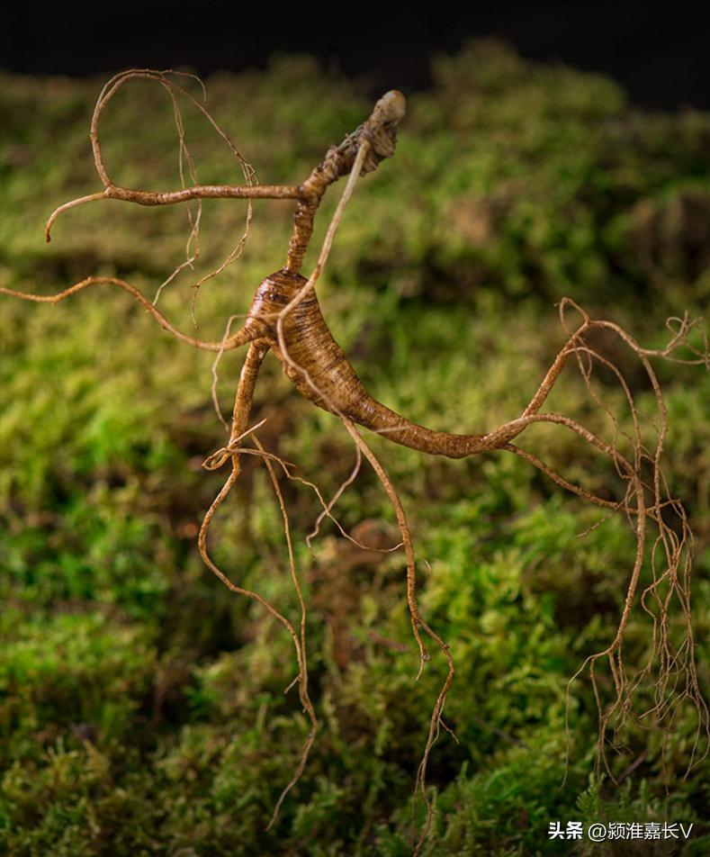 各大网购平台假货量排行,网购中假货最多的十大行业