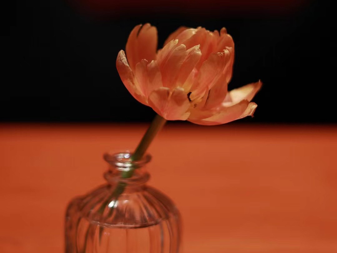 如何利用信息差赚钱,如何利用信息差赚钱的例子有哪些