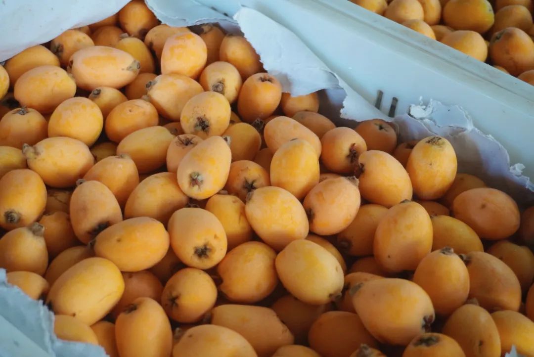 内江打假网红店,打假网红店贵阳