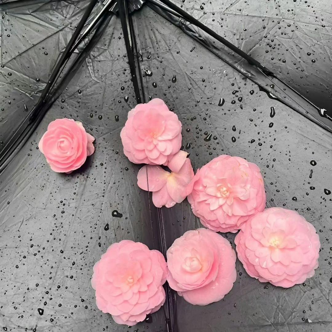 妈妈生日文案短句干净小众,很逼格的文案短句