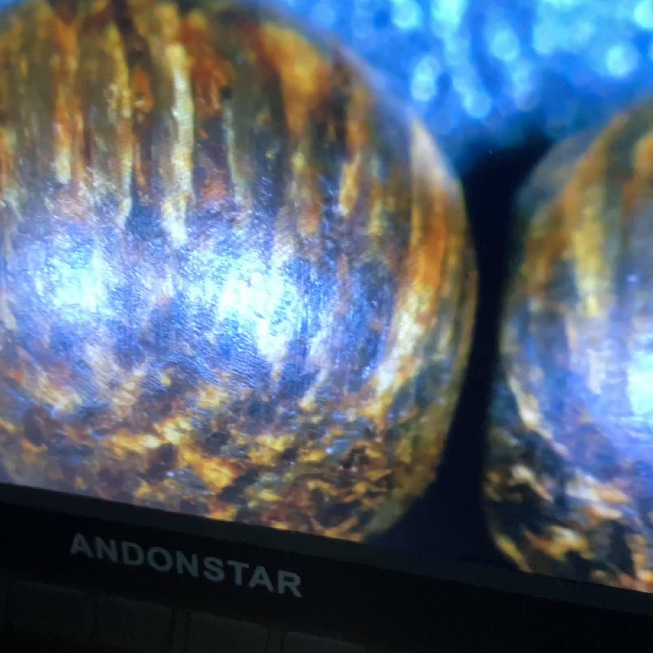 真假沉香的鉴别方法视频,怎样鉴别沉香和奇楠沉香的真假