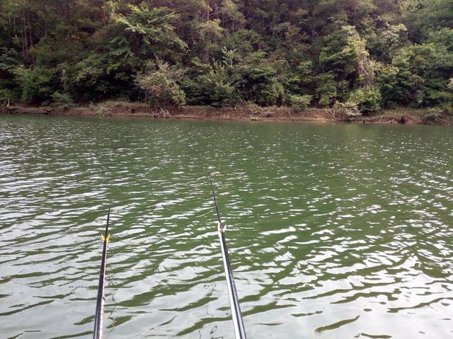 钓鱼小知识秋季爆护口诀,一个月当中哪几天才好钓鱼爆护