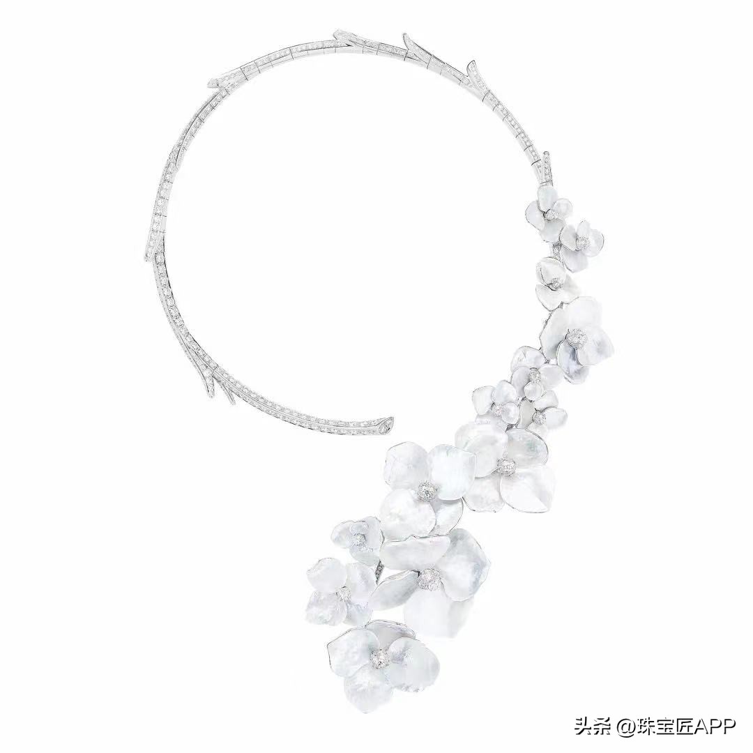 宝诗龙问号项链周冬雨,宝诗龙孔雀问号项链