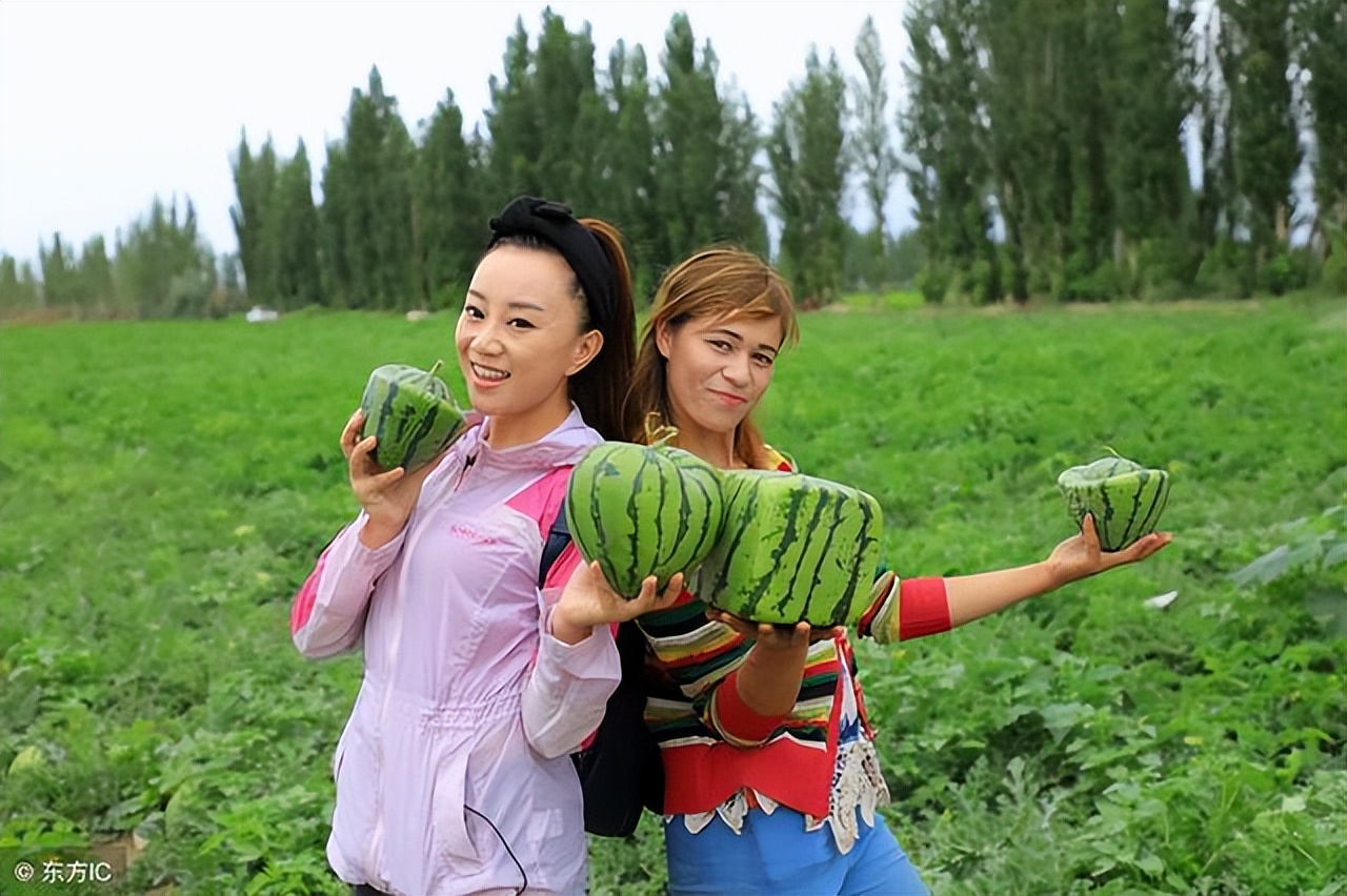 南疆特产100种,盘点十大新疆的特产