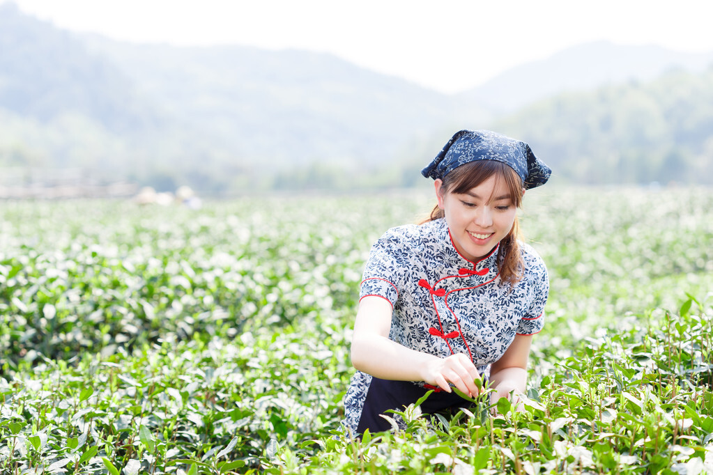 住家保姆感觉孤独,住家保姆的难言之隐