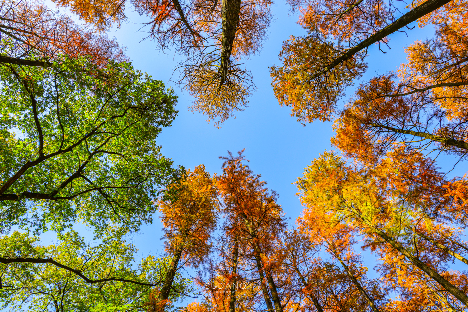 大自然塑造了我,大自然塑造者