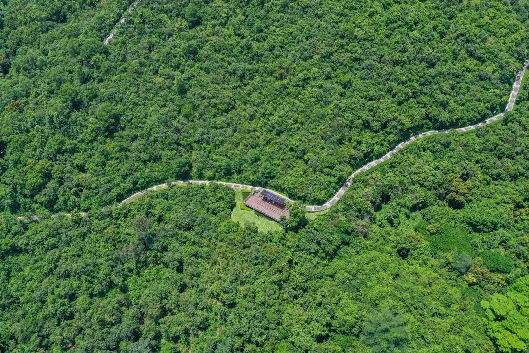 深圳淘金山绿道公园攻略,深圳淘金山绿道风景视频