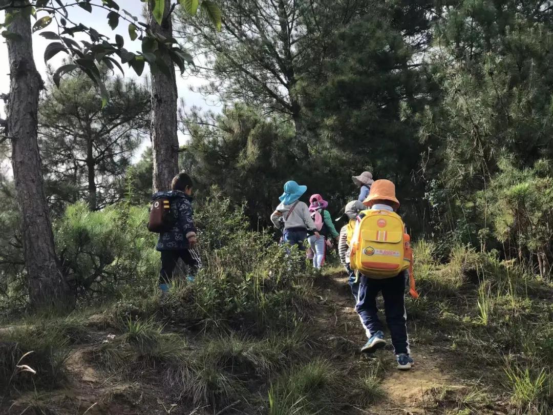 大理幼儿园环境,大理县城幼儿园