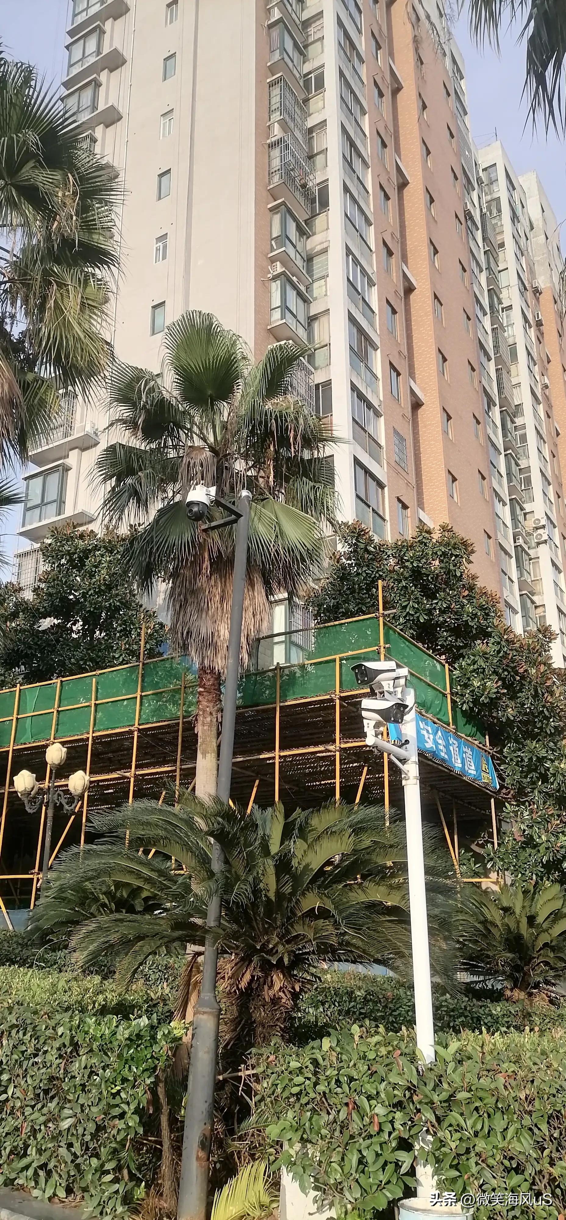 现在的房子建筑质量,现在房屋质量有多差