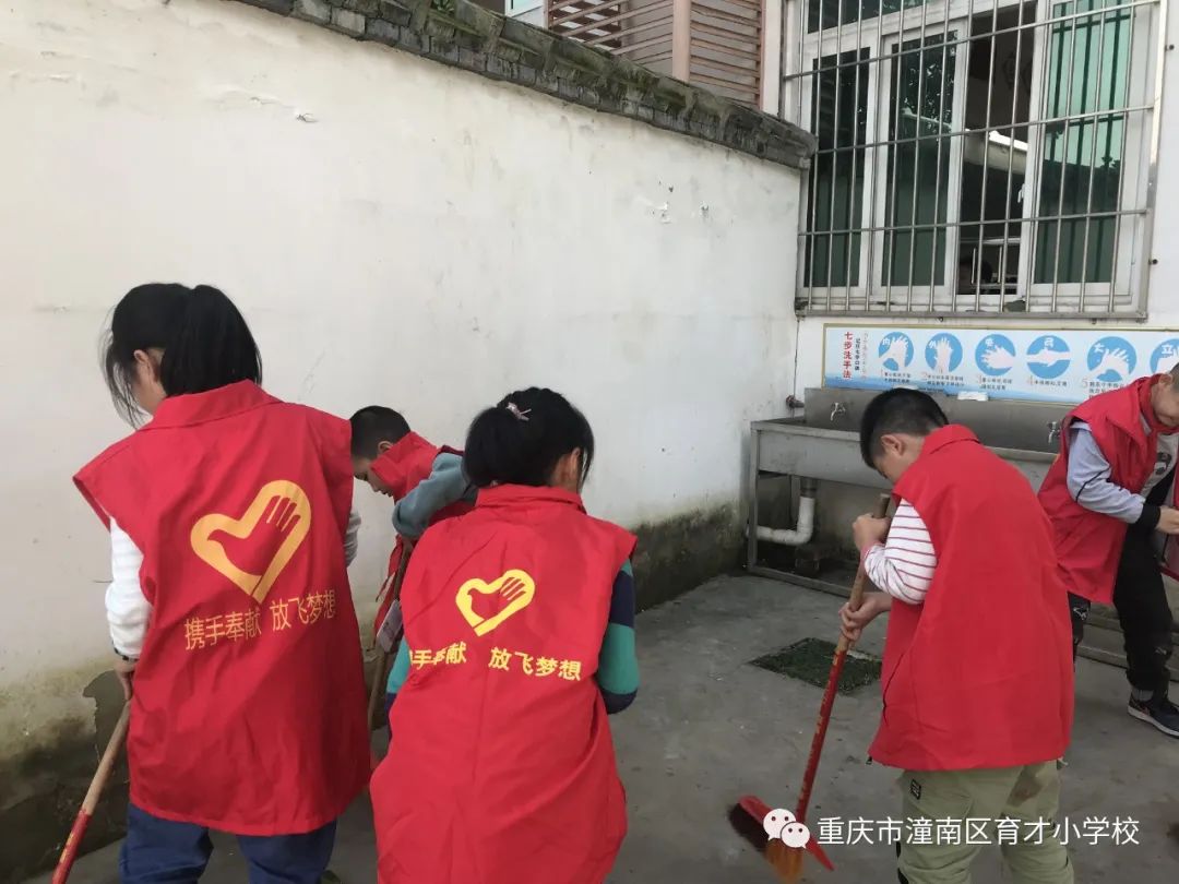 重庆劳动教育小学,重庆市潼南区育才小学的图片