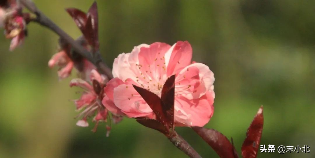 有以下两个特点的男人，不仅不靠谱，也很难给女人幸福