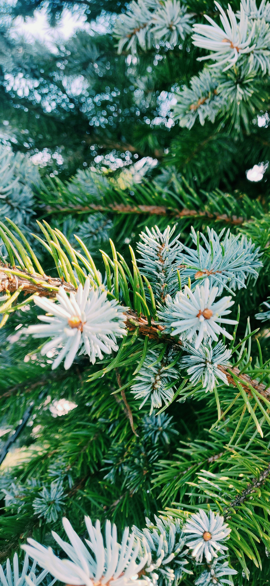 2023年手机壁纸,2023年最新款超清手机壁纸