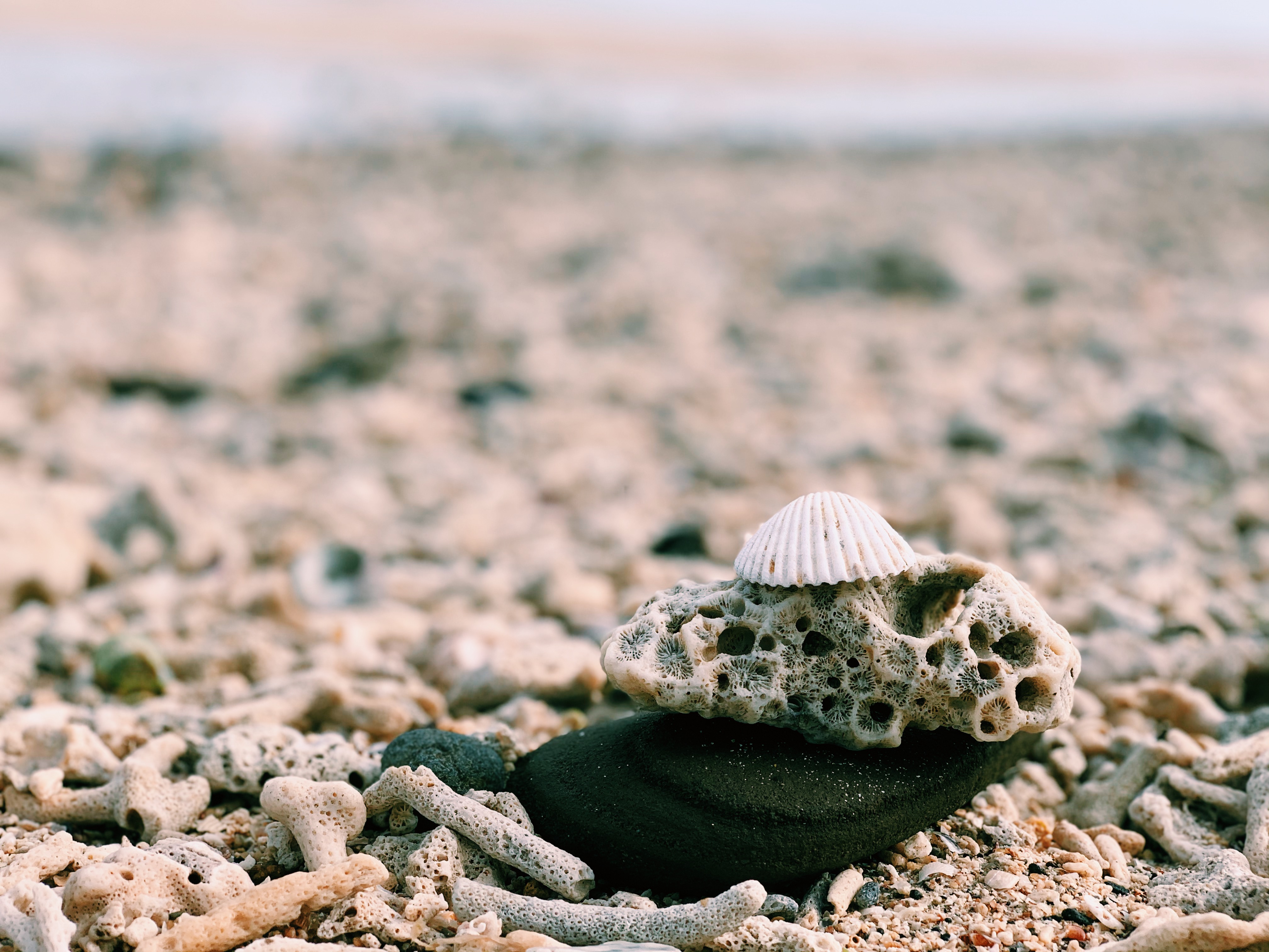 北海涠洲岛保姆级攻略,北海保姆级旅游攻略