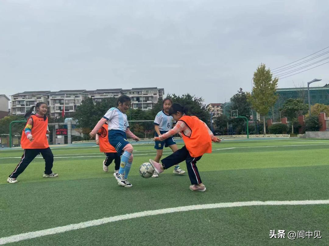 阆中市中小学生运动会,阳光运动趣味运动会