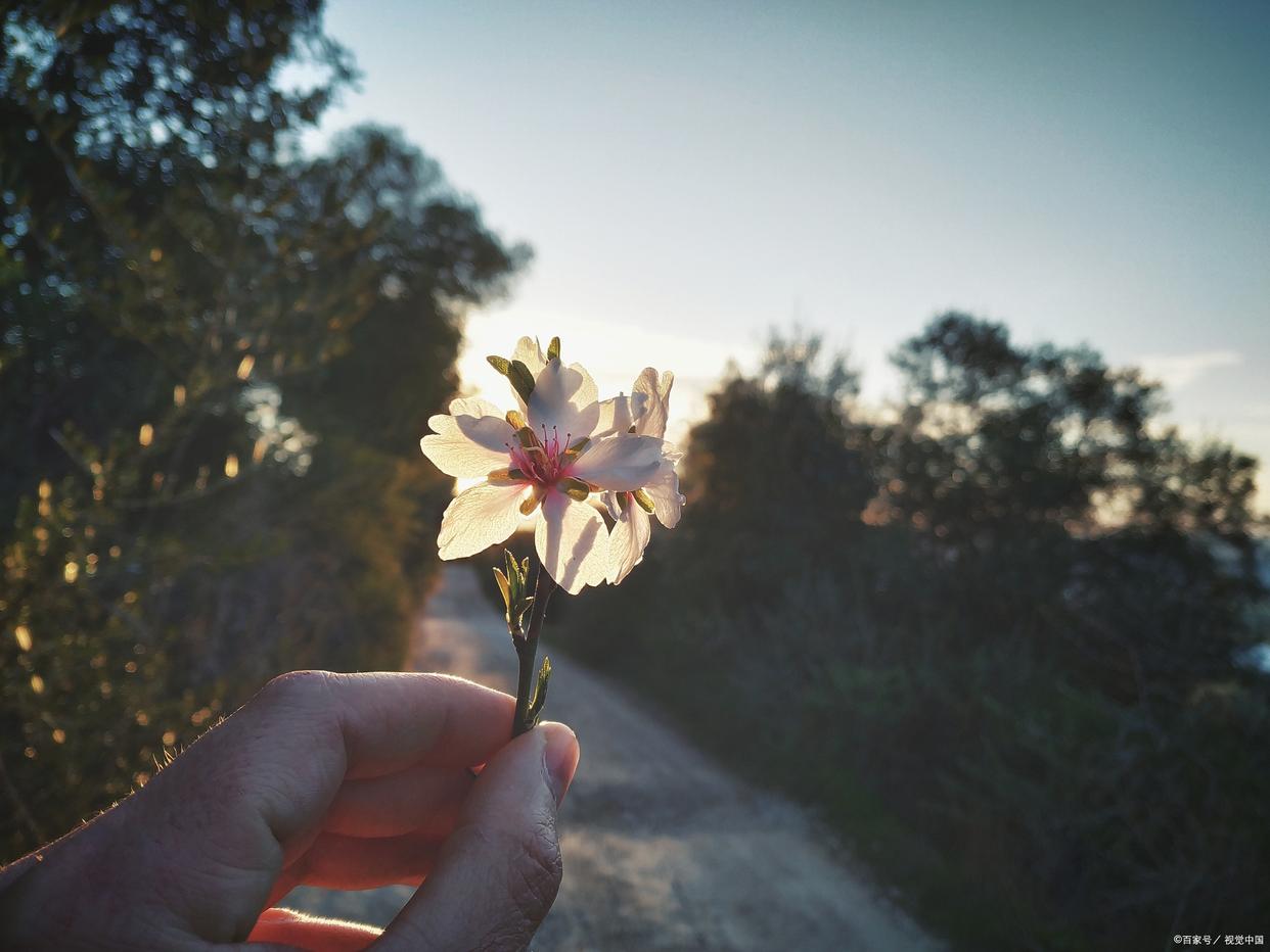 关于开具发票遇到的问题,什么情形下开不出发票