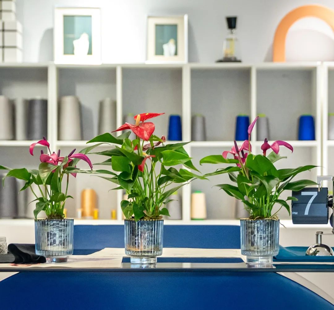 红掌开败的枝条也要剪掉吗,过完年开败的蝴蝶兰不要扔