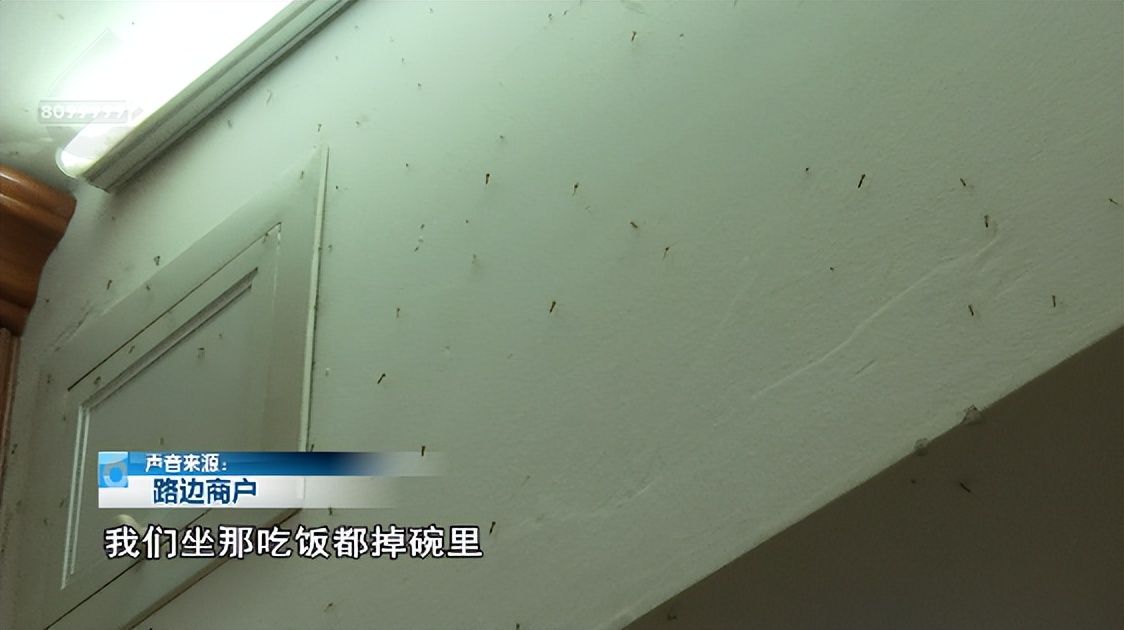 顾客逃单要店员负责吗,顾客逃单早餐店