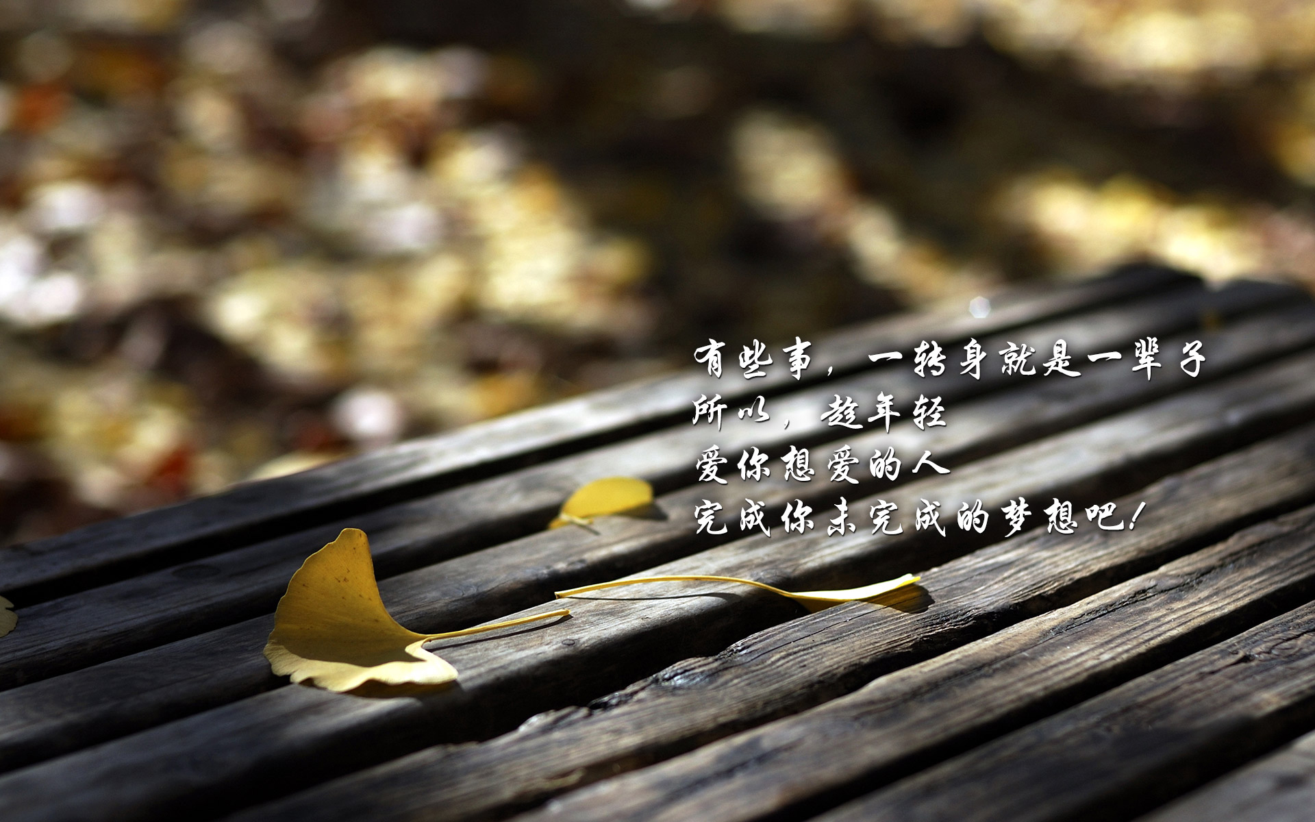 新手小白如何搭建自媒体账号,自媒体账号矩阵如何搭建