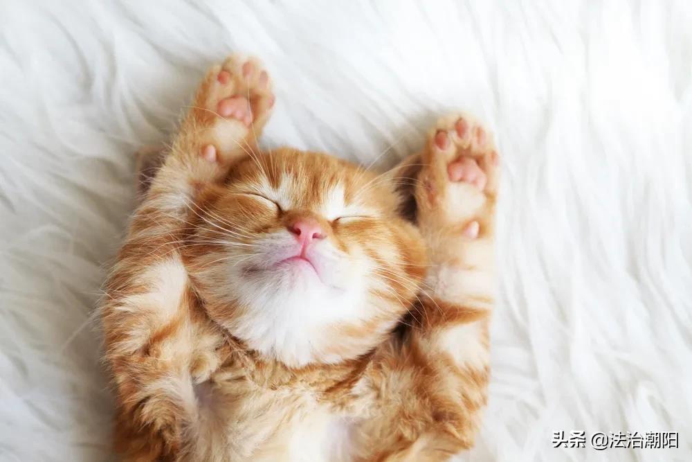 反复烧开了的水能喝吗,反复烧开的水健康不