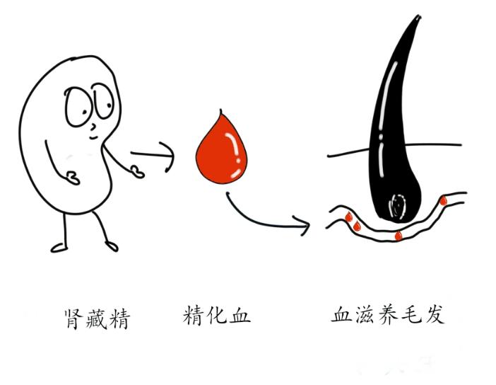 白头发什么原因产生的怎么治疗,白头发是从根部开始白是什么原因