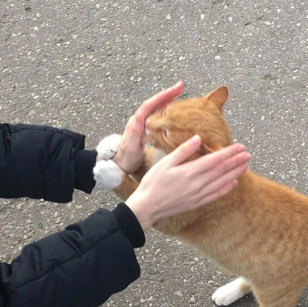 朋友圈背景图留给未来的你,朋友圈背景图你是我的光