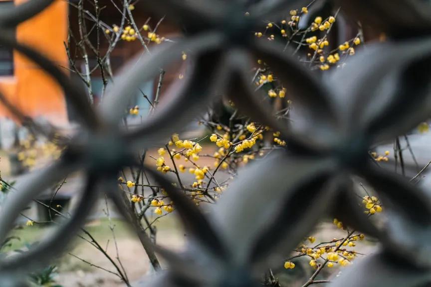 春节潮汕行腾龙28-75mmG2使用体验分享