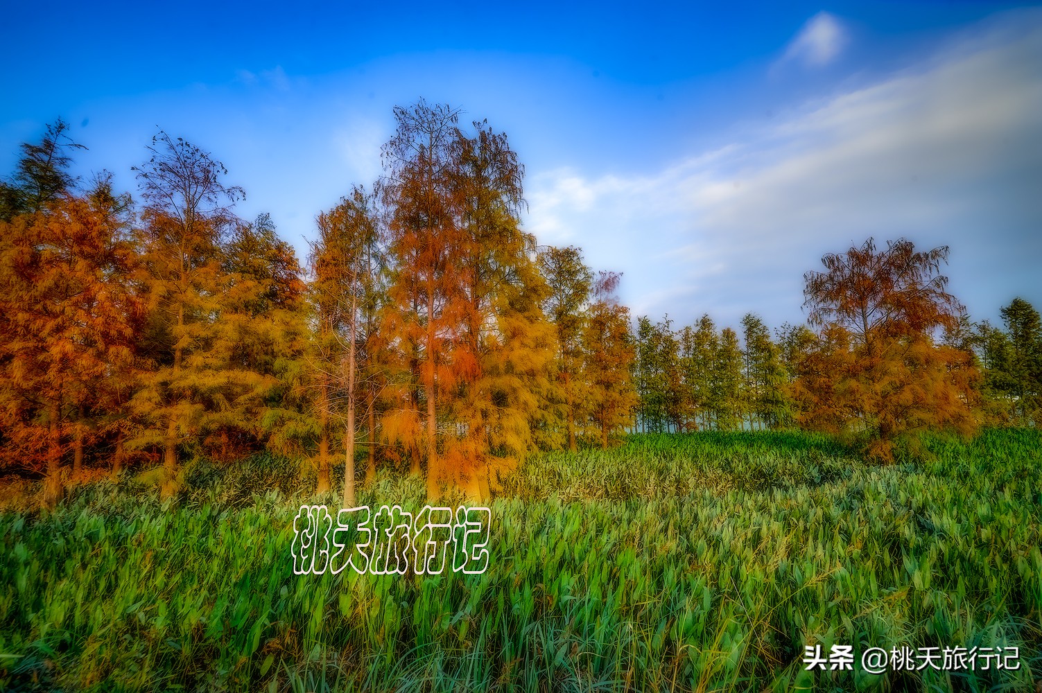 五一适合去哪旅游珠海海边,五一珠海旅游免费景点推荐