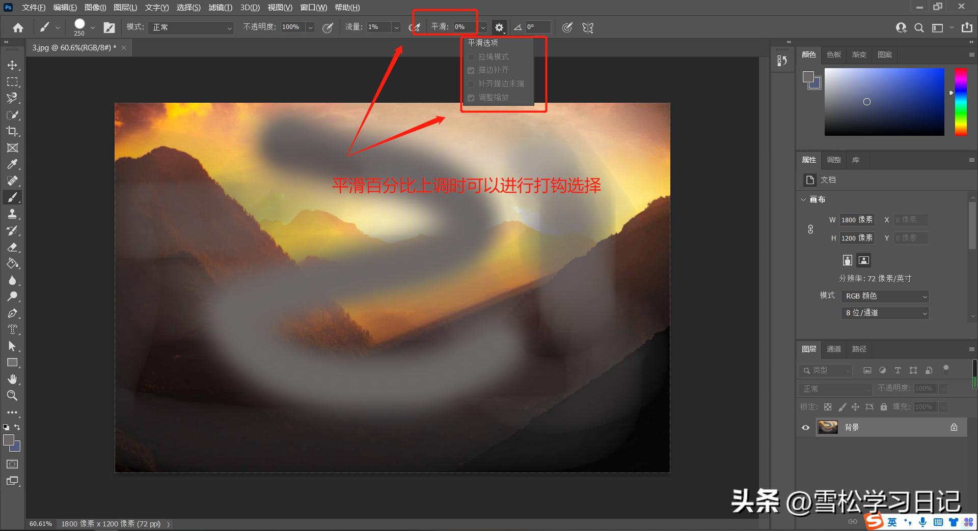 ps的cameraraw如何用画笔工具,ps基础教学画笔颜色