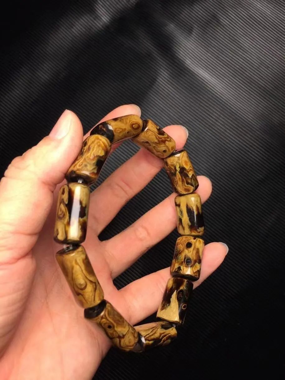 海柳算珠宝吗,海柳是宝石吗图片