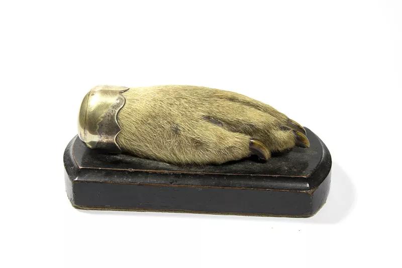 宠物基础服务包括什么服务,宠物服务包括哪些内容呢