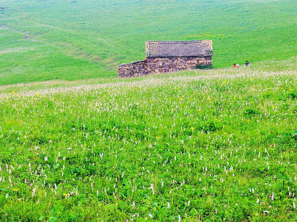 山西旅游攻略最全最佳线路五台山,山西五台山一日旅游景点推荐表