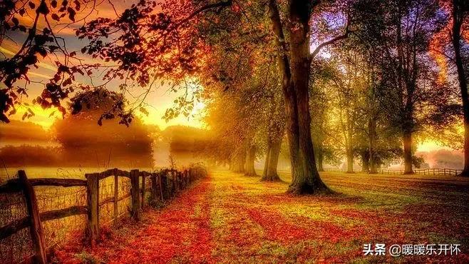 高级干净又撩人文案短句霸气,撩人的幽默高情商的句子文案