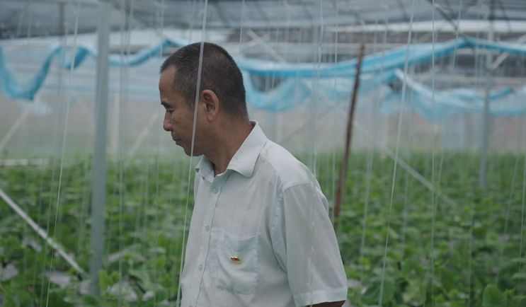 《加油吧！乡亲们》的叙事意境和感染力