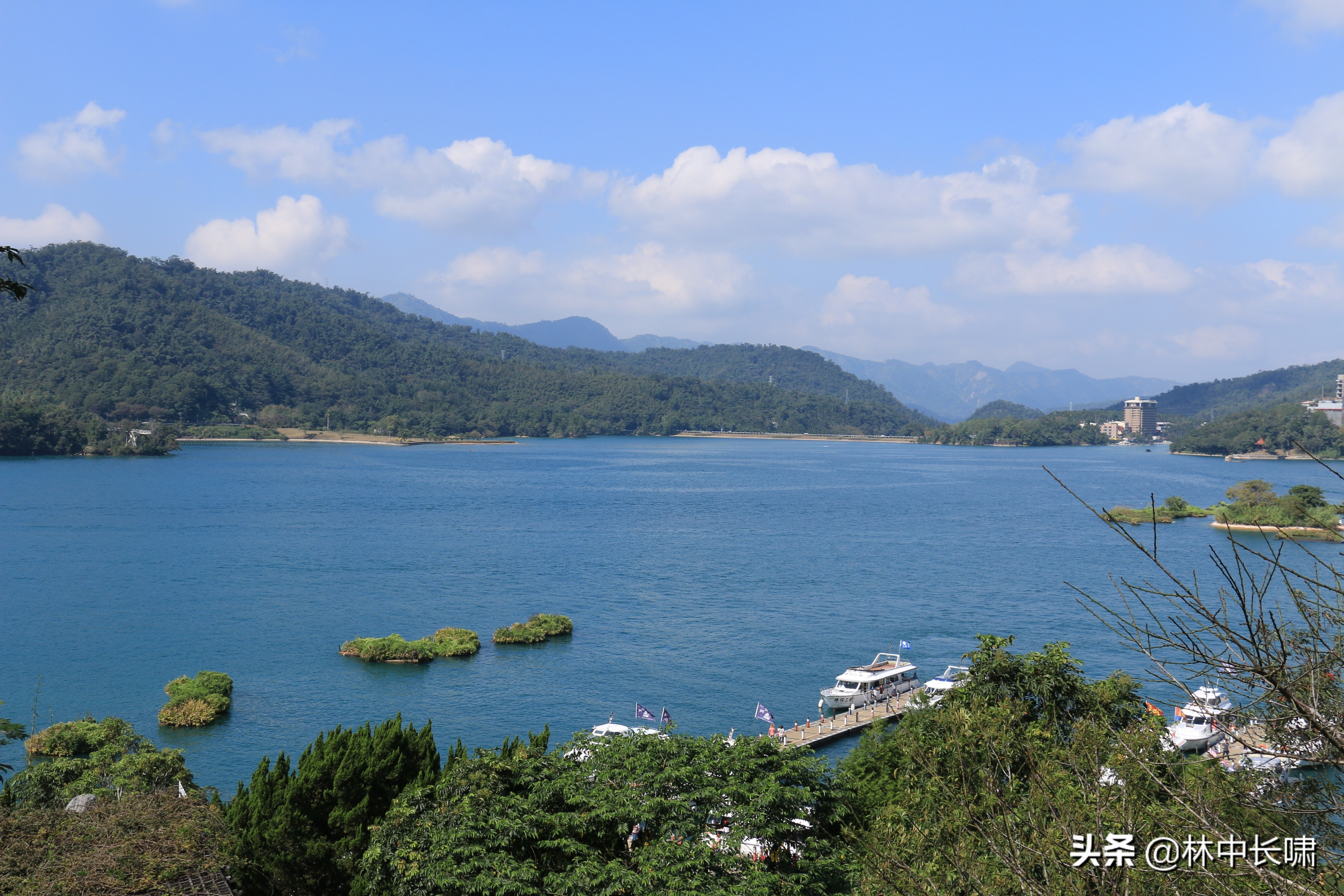 日月潭的茶叶蛋,正宗日月潭香菇茶叶蛋