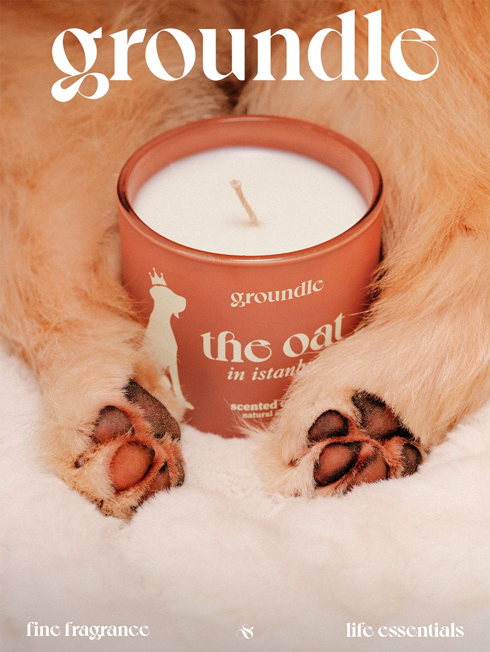 groundle棣欐皼鍠烽浘,groundle鎶栭煶