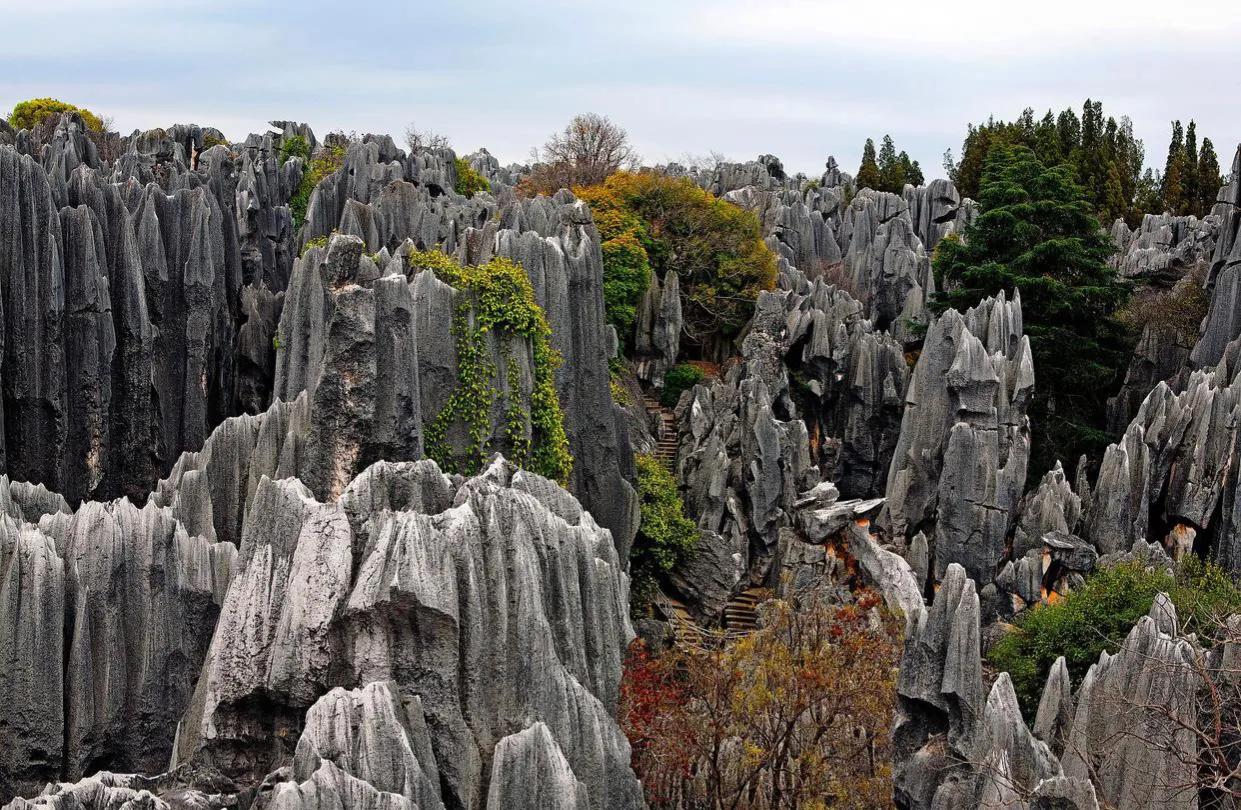 碧峰峡自然遗产大熊猫栖息地,世界自然遗产中国大熊猫栖息地