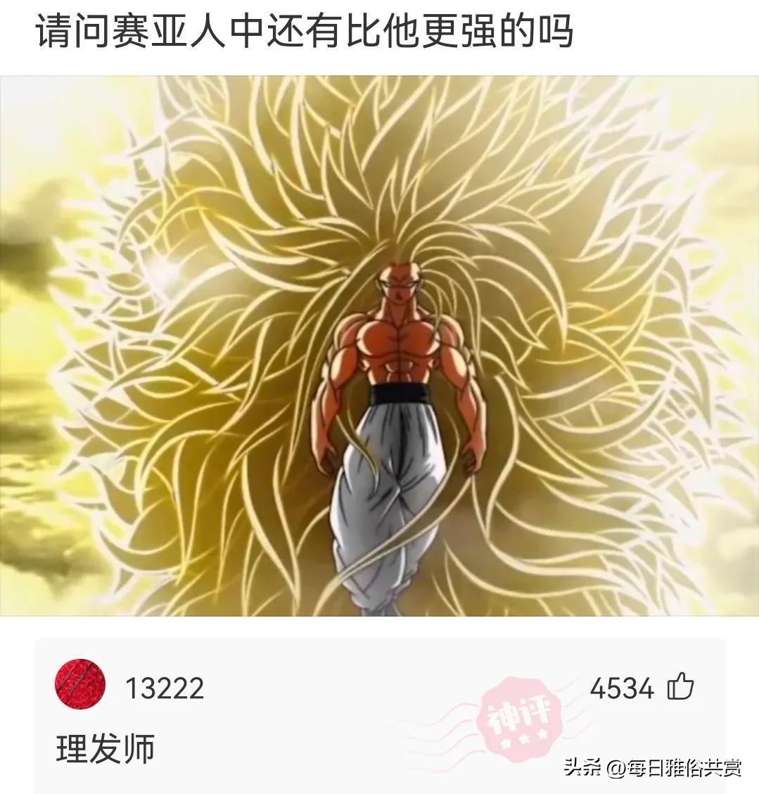 盐选神回复巧妙避开所有重点,盐选神回复