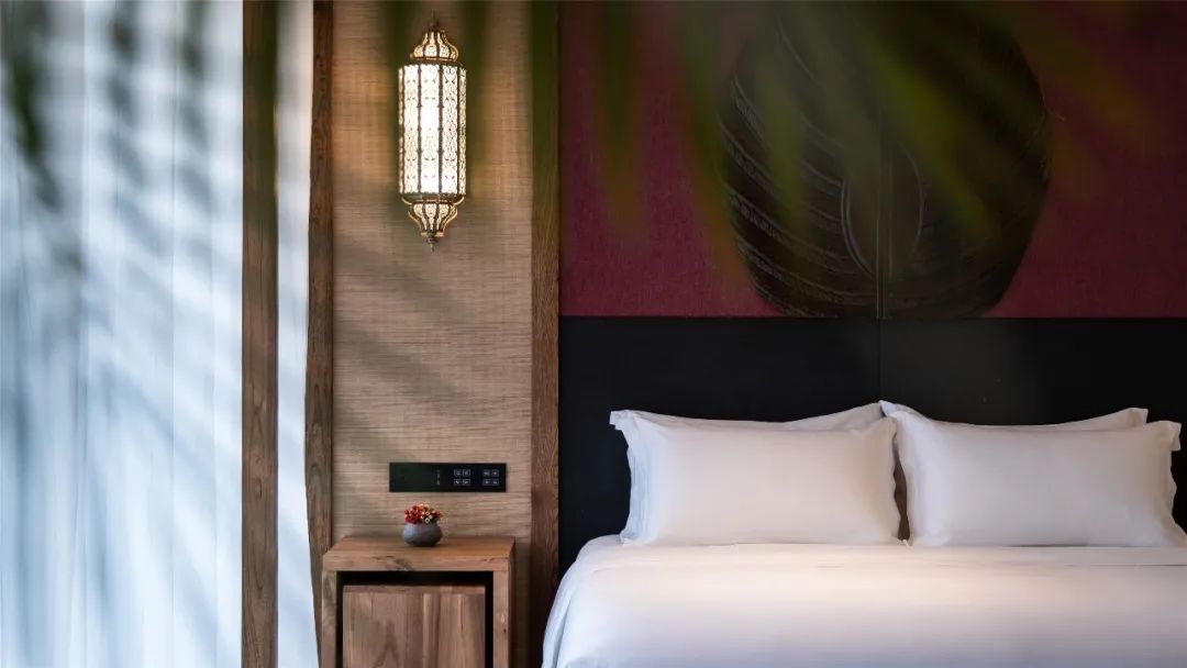 西双版纳旅游攻略两分钟视频,西双版纳旅游攻略摄影