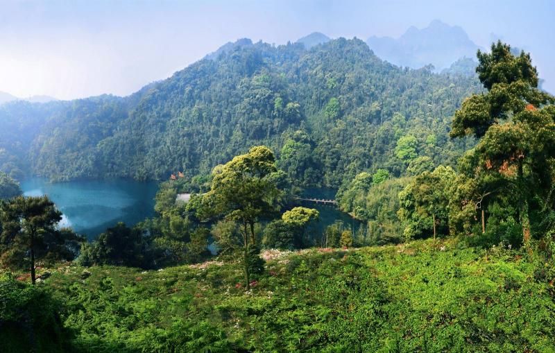 鼎湖山攻略,肇庆鼎湖山指南