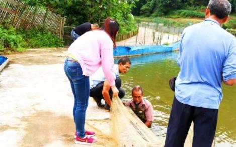 养殖大闸蟹成功案例,致富经养殖大闸蟹