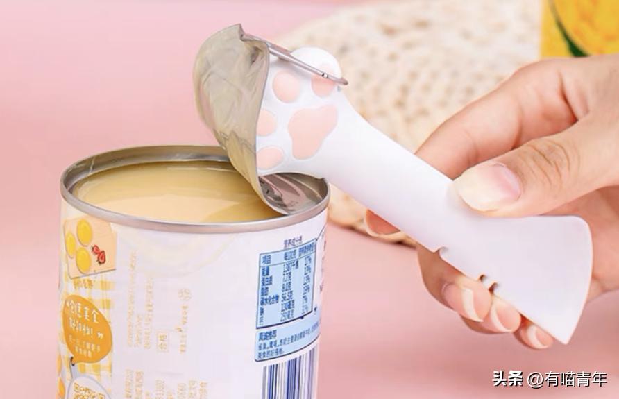 16个变态又实用的养猫妙招必看,养猫必看的100个技巧