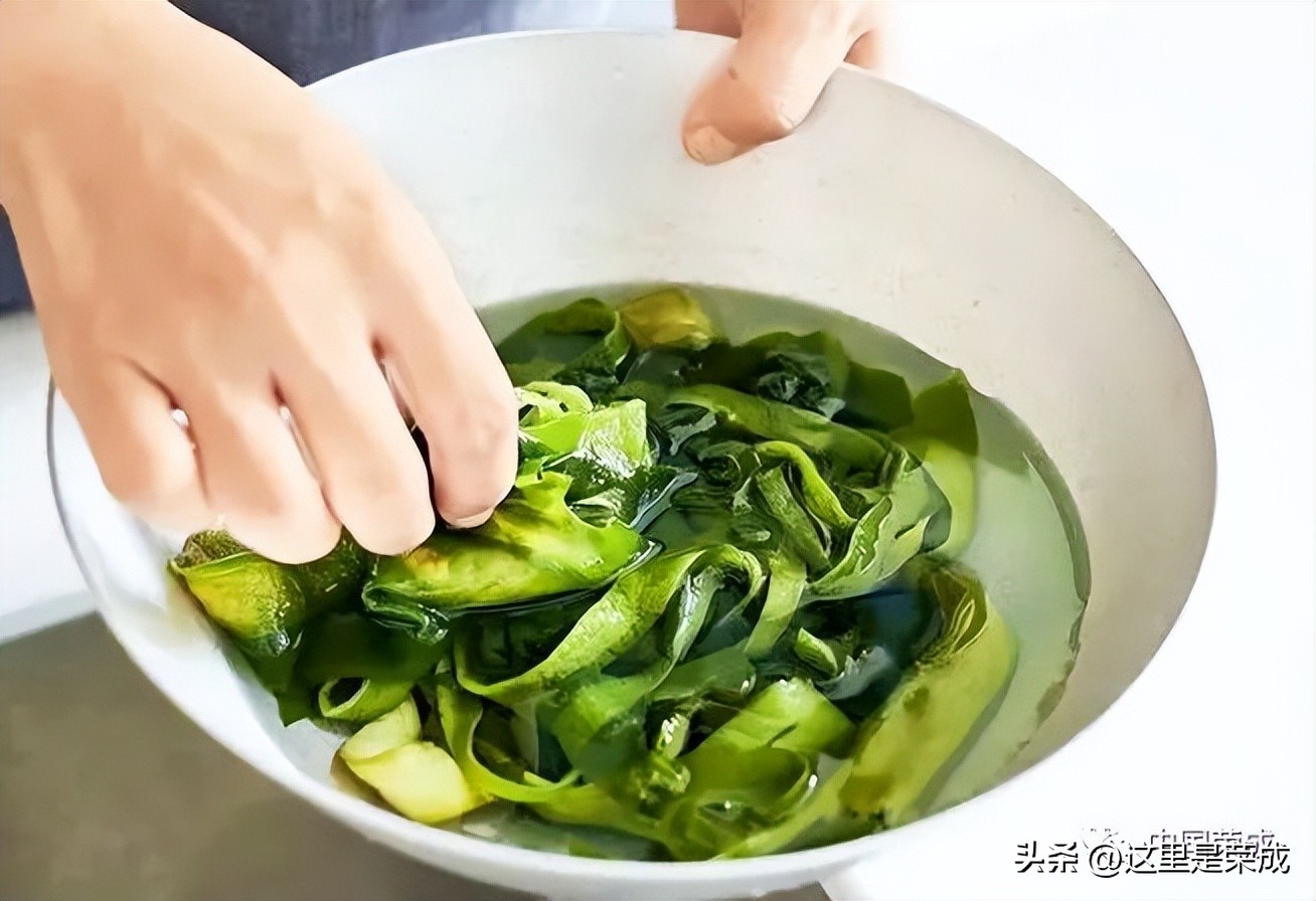 异域风情的漂亮植物,好看又清雅的植物