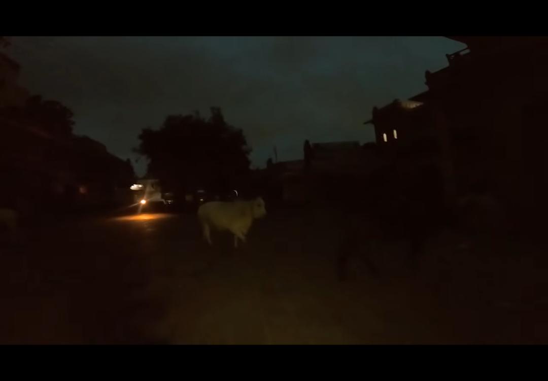 韩国女子在印度被跟踪,韩国女游客在印度遭男子尾随