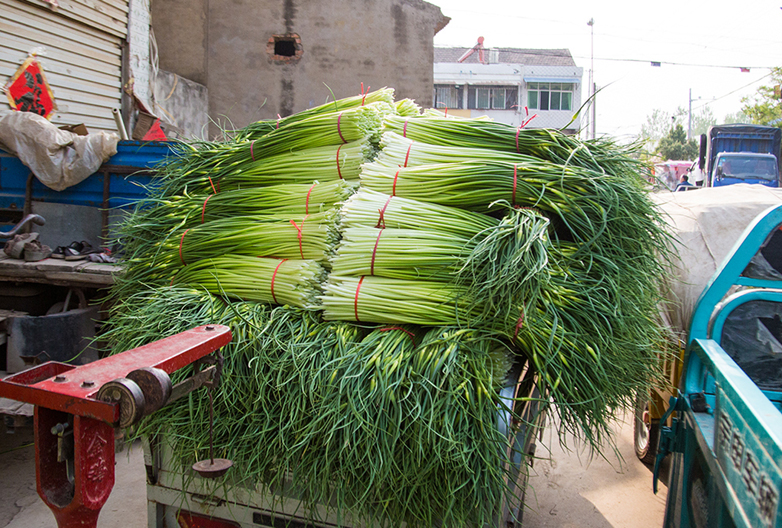 蒜苔行情一下下滑几毛钱怎么回事,最近的蒜苔行情