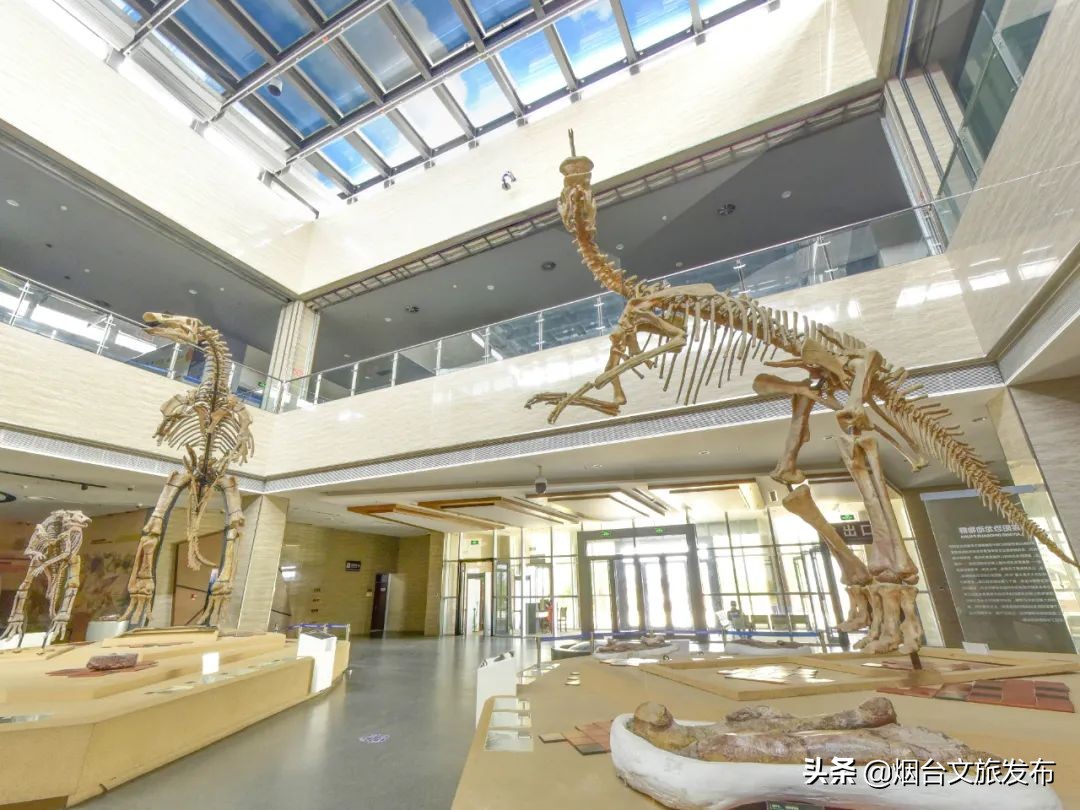 你好童年威海,你好童年即墨广播