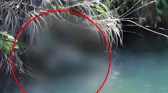 腹部玫瑰纹身女尸案,纹身女尸疑案