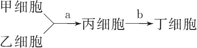 高中生物细胞工程知识点归纳,高二细胞工程的易错点